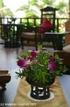 Andaman Cannacia Resort & Spa 